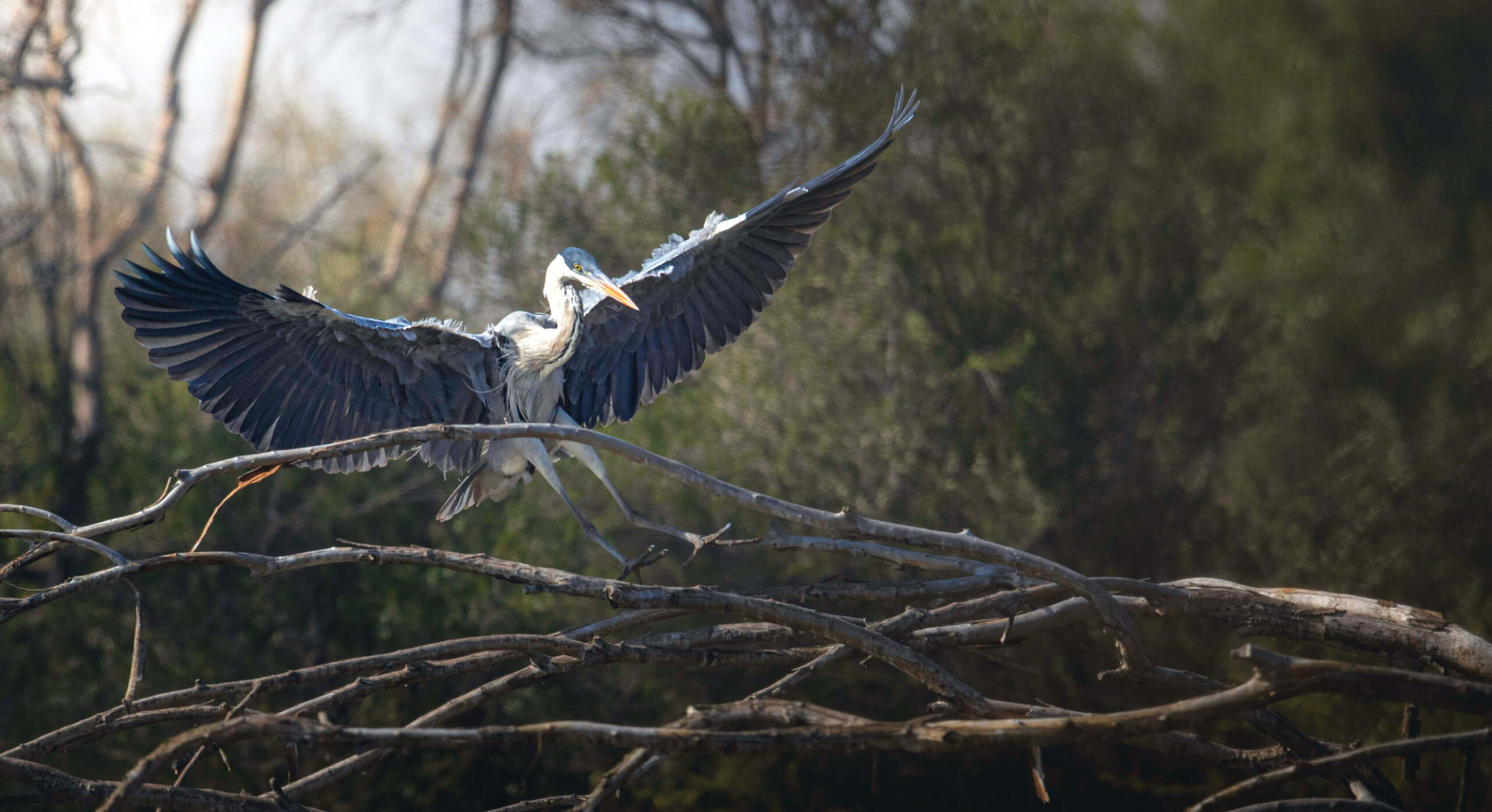 Fundacion_Kennedy_Urbanya-(1)